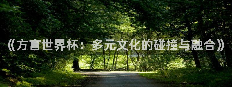 世界杯女足直播:《方言世界杯:多元文化的碰撞与融合》