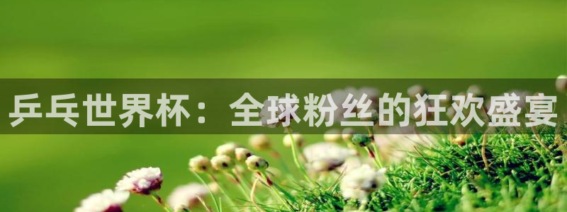 世界杯预选赛赛程表:乒乓世界杯:全球粉丝的狂欢盛宴