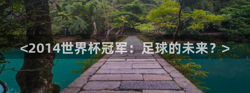 世界杯预选赛排名:<2014世界杯冠军:足球的未来?>