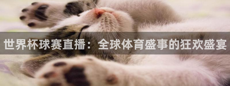 美国世界杯:世界杯球赛直播:全球体育盛事的狂欢盛宴