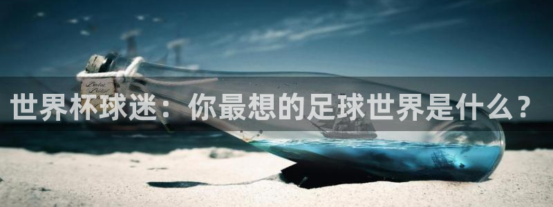 世界杯赛程表2026:世界杯球迷:你最想的足球世界是什么?