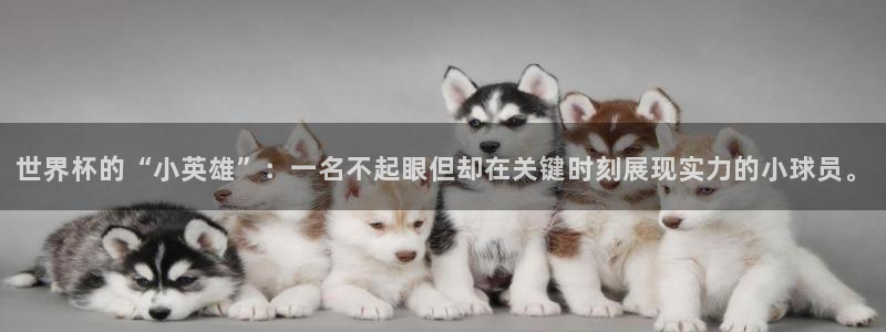 欧联杯直播:世界杯的“小英雄”:一名不起眼但却在关键时刻展现实力的小球员。