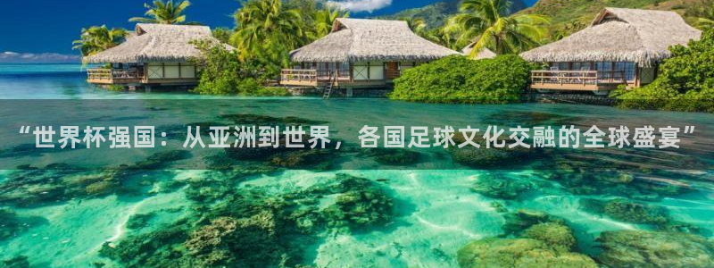 2026世界杯赛制:“世界杯强国:从亚洲到世界,各国足球文化交融的全球盛宴”